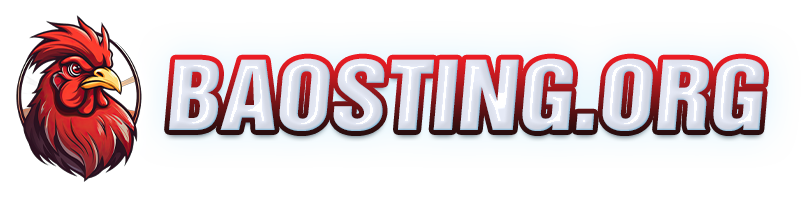 logo baosting