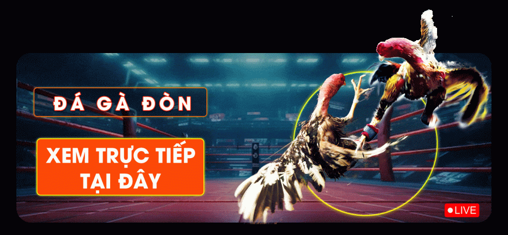 Kinh nghiệm soi kèo đá gà online Bao sting từ các cao thủ 4 banpcdagadon2 1 1