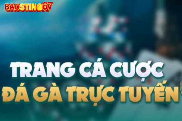 Cá cược baosting