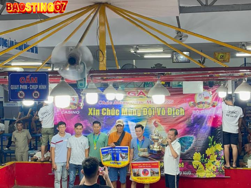 Kinh nghiệm chọn gà đá tại trại gà bao Sting cho người mới 3 chọn gà đá