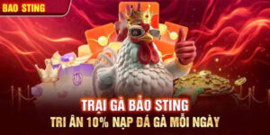 Web đá gà  uy tín bao sting